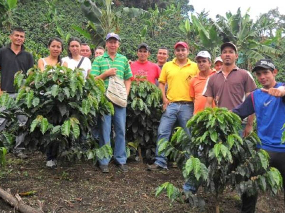 Cafeteros del Valle contra bancarización e importación del grano
