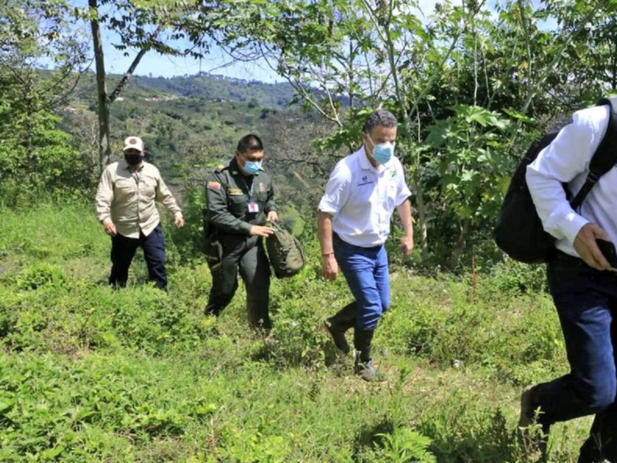Gobernador de Antioquia no descarta la aspersión aérea en cultivos ilícitos