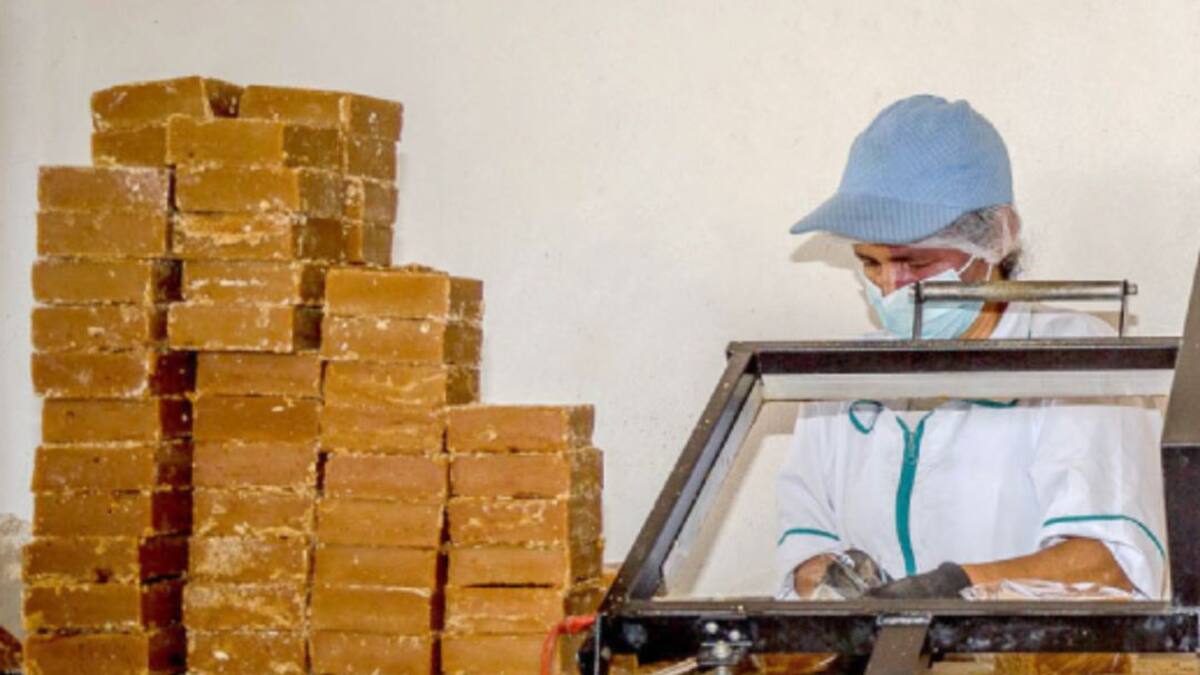 Pandemia elevó el precio de la panela en Santander