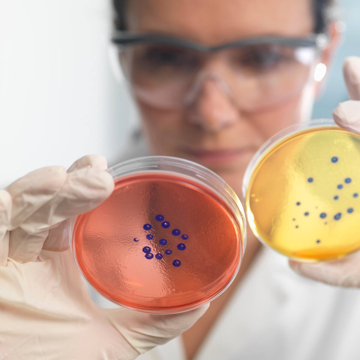 Crearon superantibiótico eficaz contra bacterias resistentes a medicamentos: así funciona
