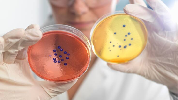 Crearon superantibiótico eficaz contra bacterias resistentes a medicamentos: así funciona
