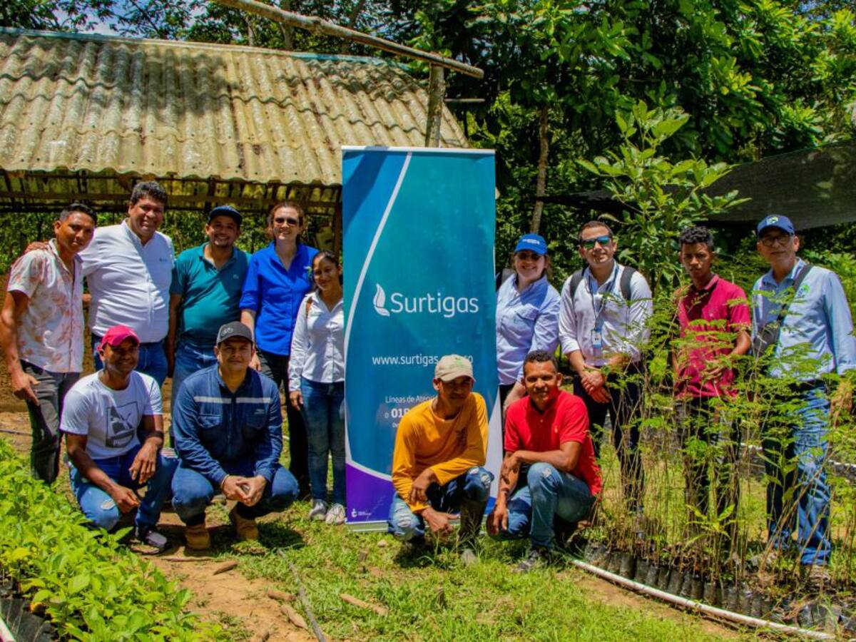 Campaña de Surtigas busca sembrar más de 20 mil árboles en Bolívar