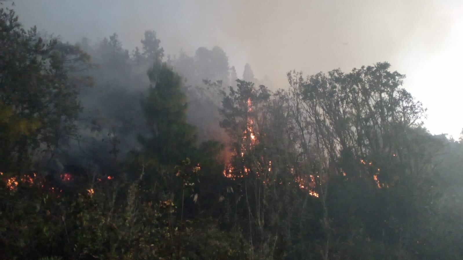 Incendio forestal en Úmbita / Cortesía: Bomberos Úmbita.