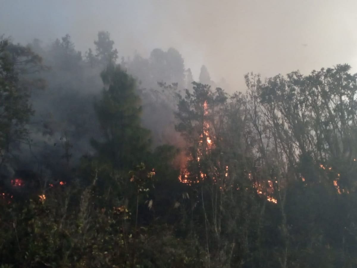 Controlan tres incendios forestales en Boyacá