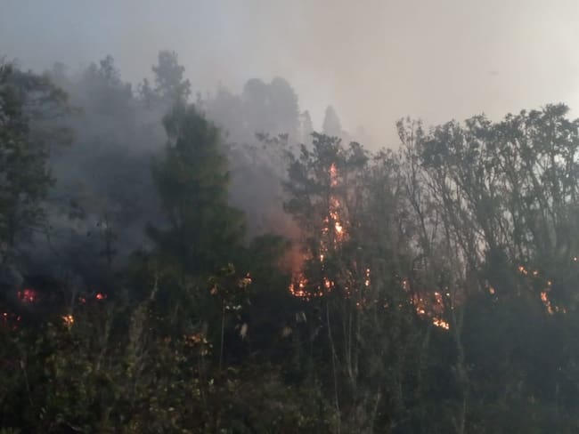 Incendio forestal en Úmbita / Cortesía: Bomberos Úmbita.