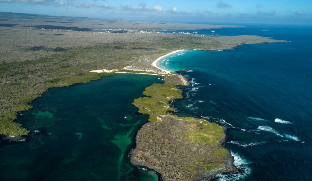 Islas Galápagos en Ecuador. Foto: Getty