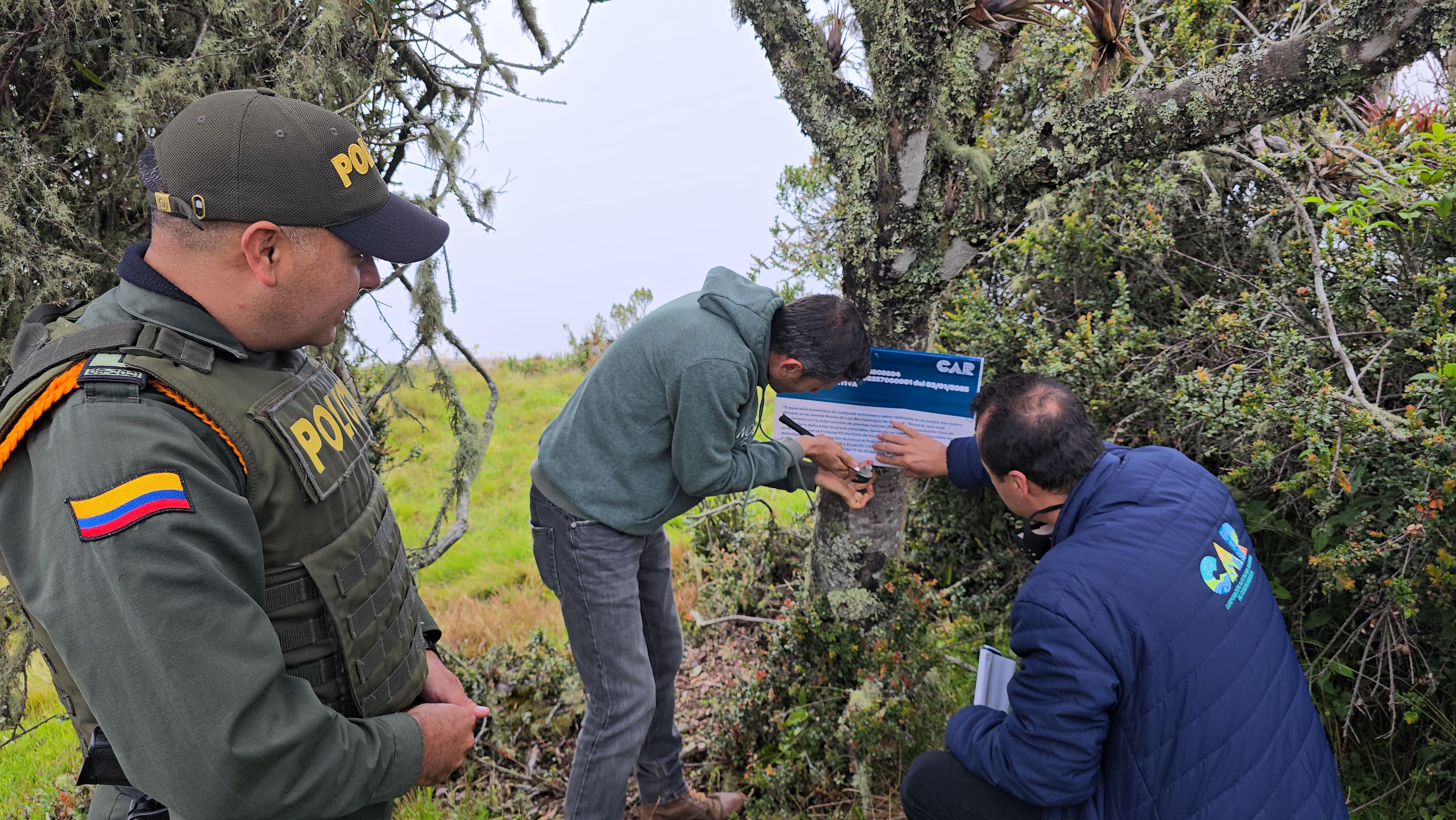 La Procuraduría y la CAR ordenaron la suspensión de actividades en el predio donde fueron destruidos 247 frailejones.