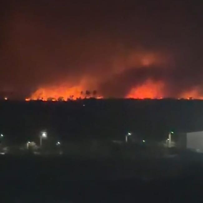 Bomberos de Sitionuevo, Magdalena reportan incendio en el Parque Isla Salamanca/ Cortesia.