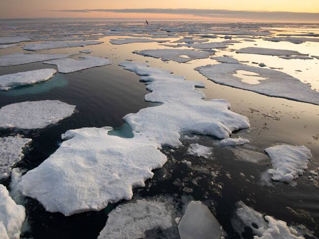 Cambio climático, entre los 5 riesgos para las empresas del mundo en 2021