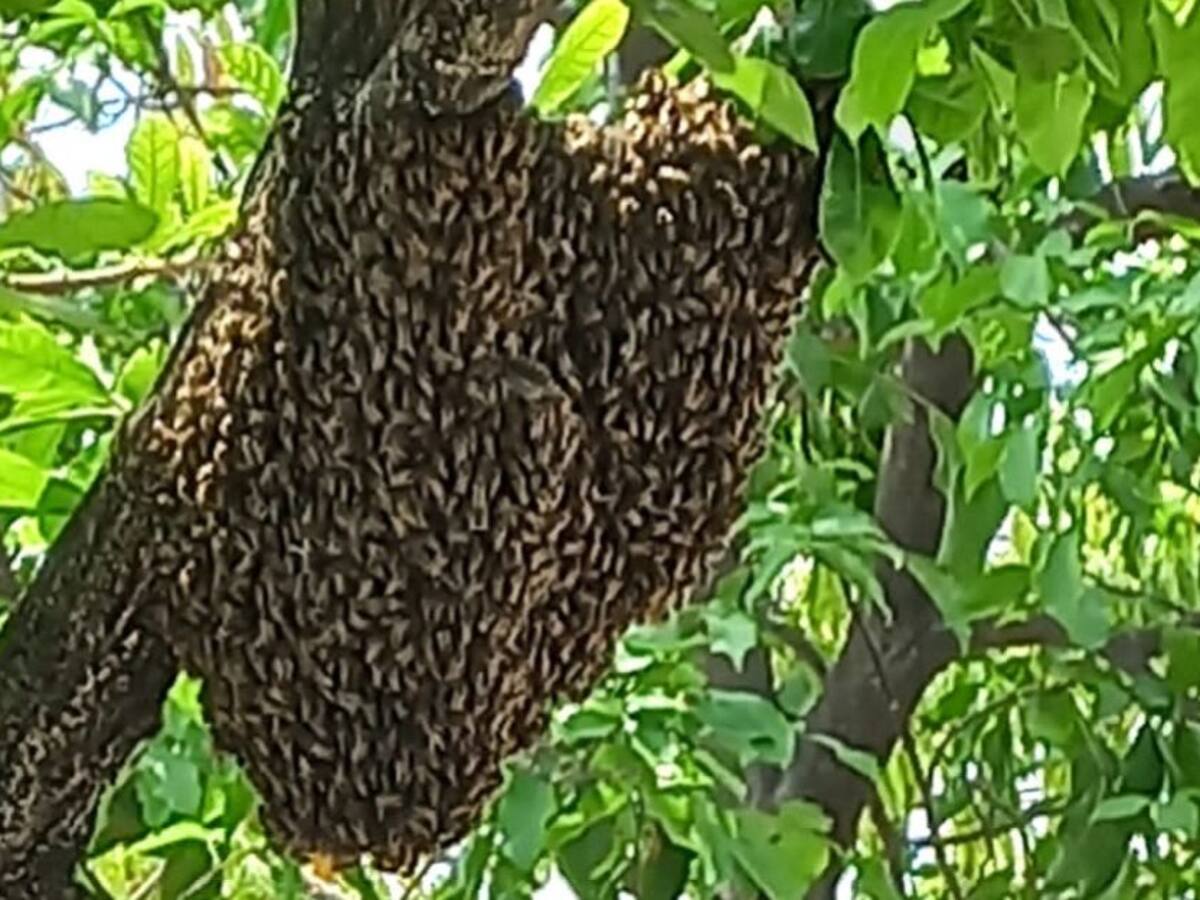 Bomberos atendió 264 emergencias durante el mes de marzo en Cartagena