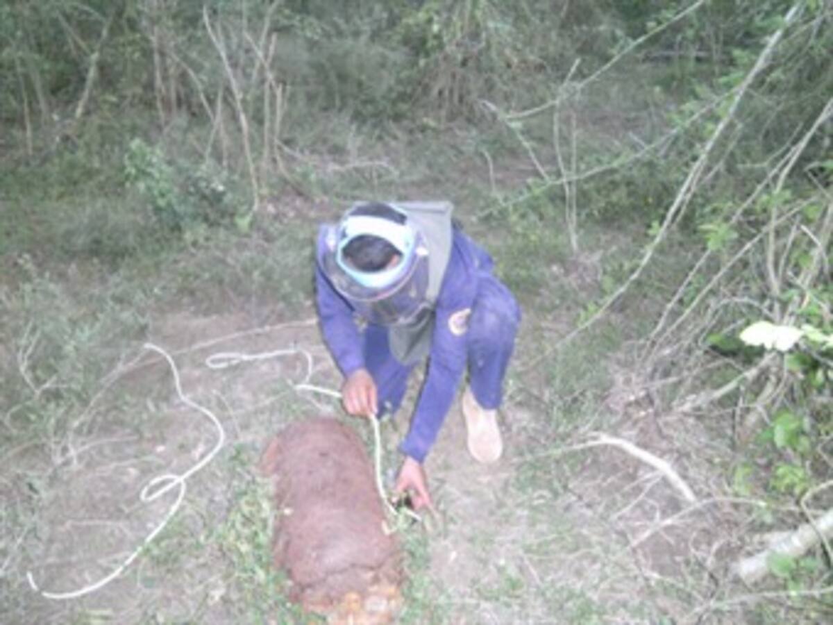 Hallados explosivos abandonados en el departamento de Bolívar