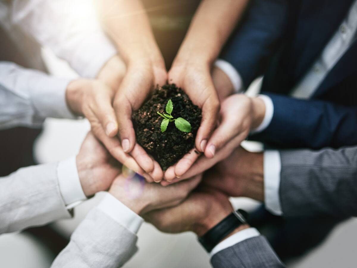Revelan secretos de cómo empresas manejan la sostenibilidad y mantienen la competitividad