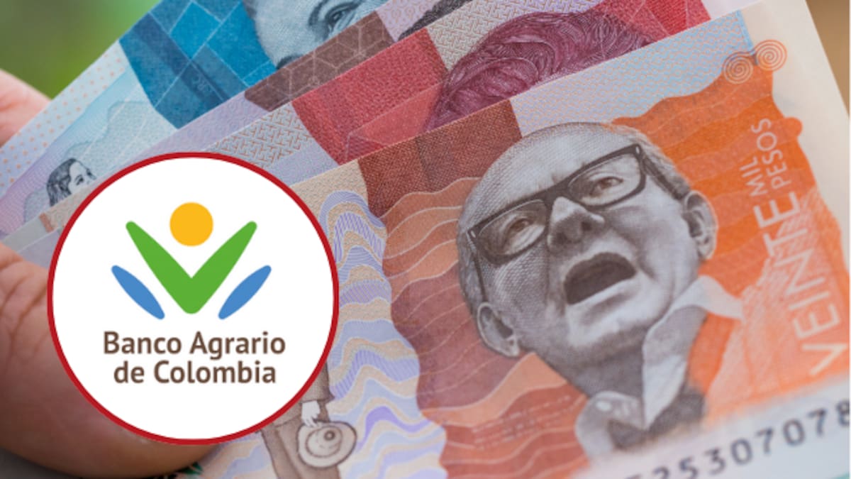 Fecha en AGOSTO del tercer ciclo de pagos de Renta Ciudadana y Devolución de IVA en Banco Agrario