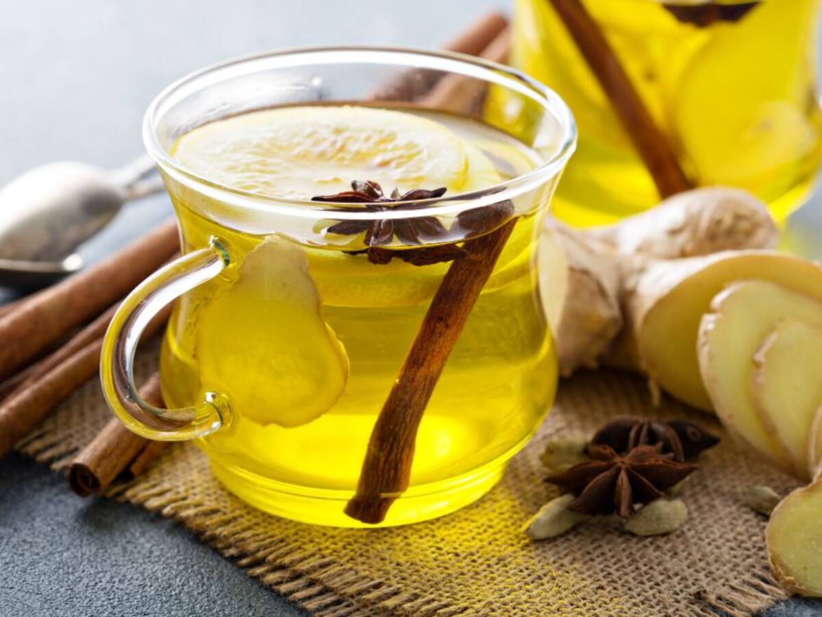 Plantas Medicinales y algunos usos en la salud