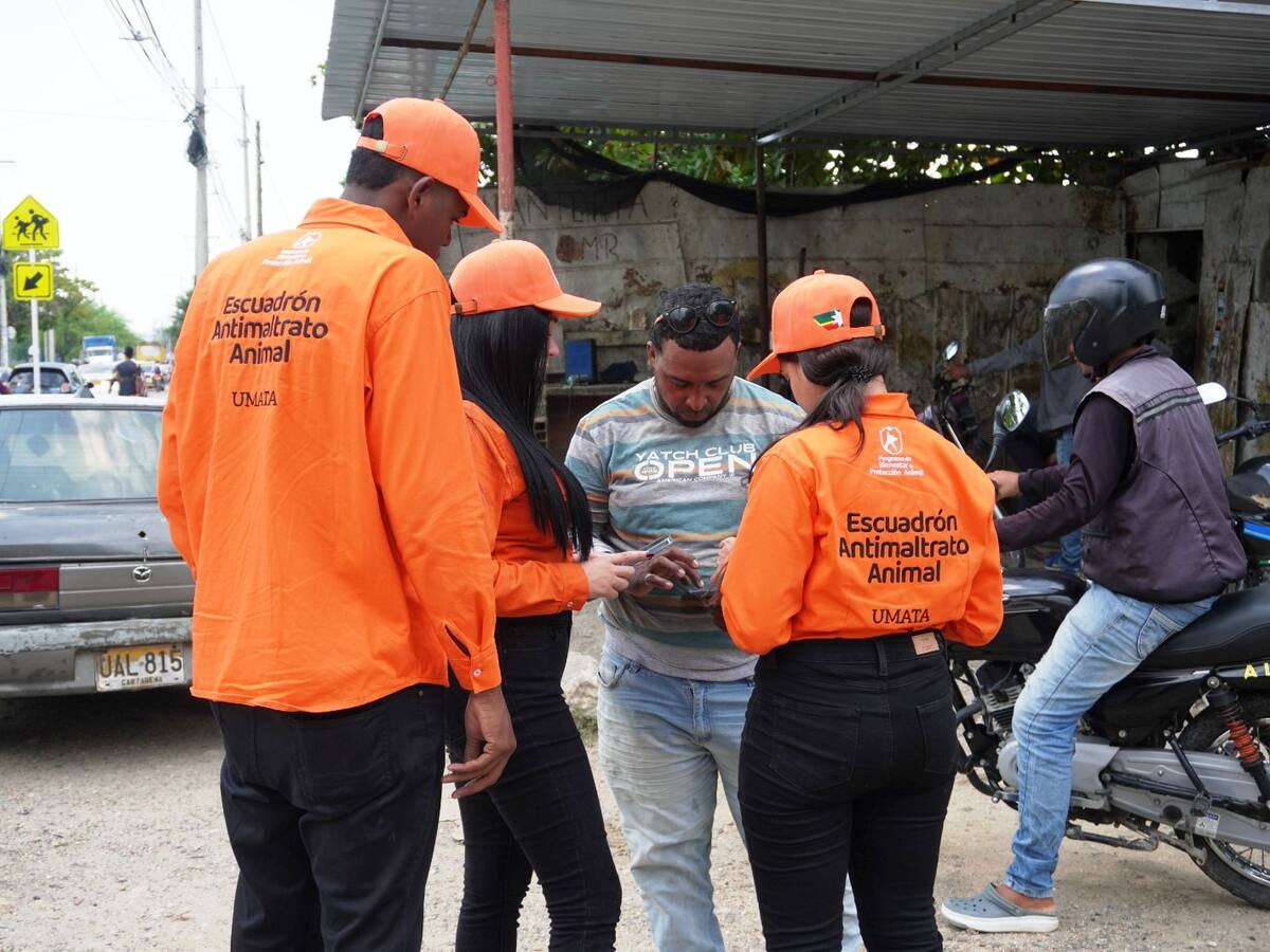 Búsqueda casa a casa para localizar a canina en condición vulnerable en Cartagena