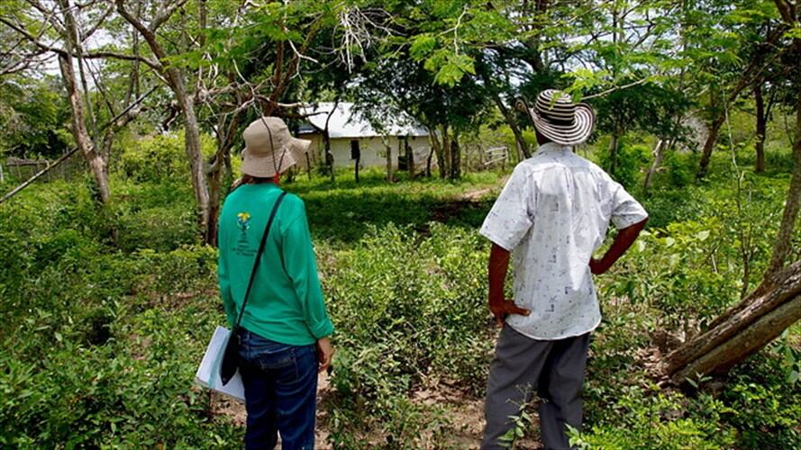 Imagen referencia. Foto: Colprensa.