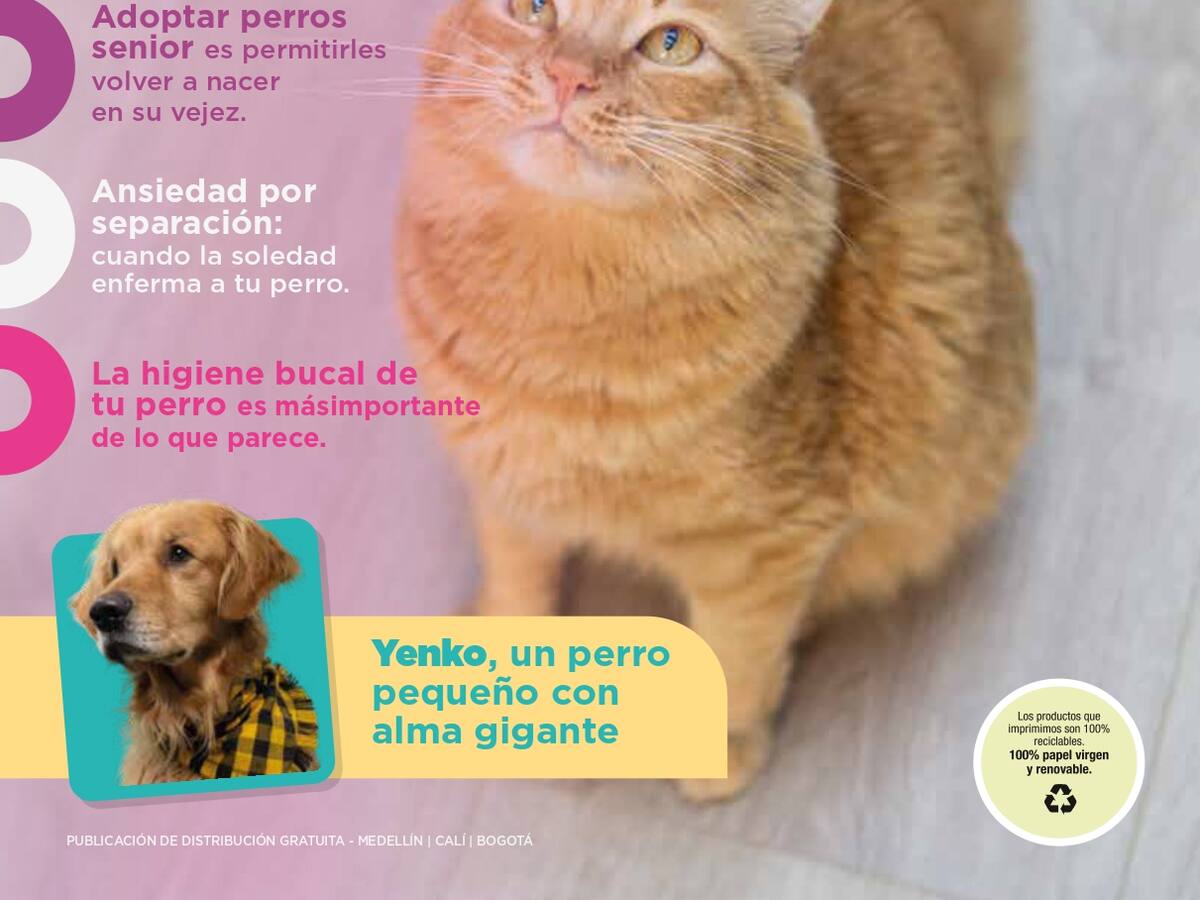 Ley Ángel, Kiara y Lorenzo: el eje central de la nueva edición de la revista Lazoos
