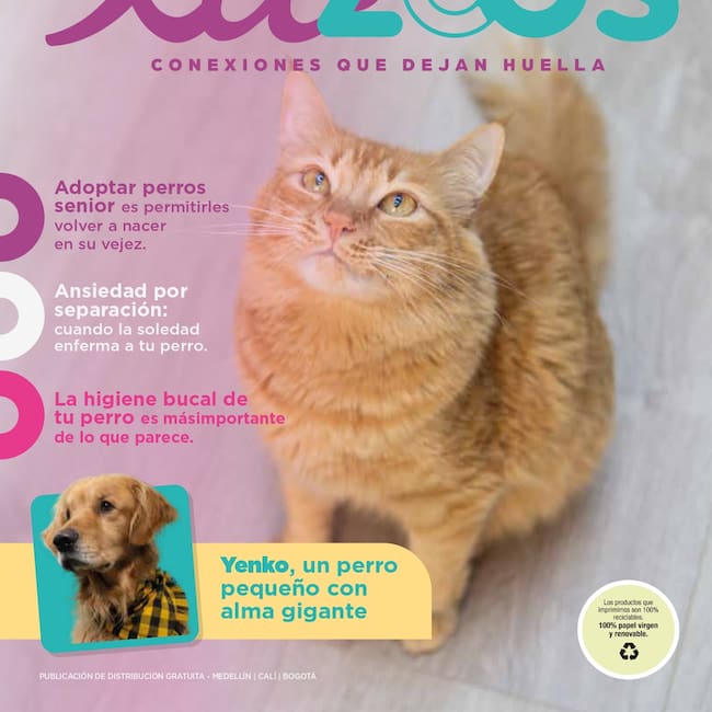 Foto: Revista Lazoos