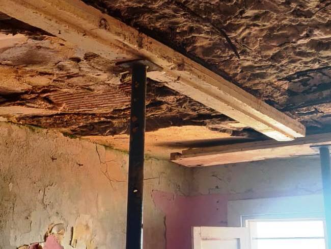 Laura Valentina Calvache