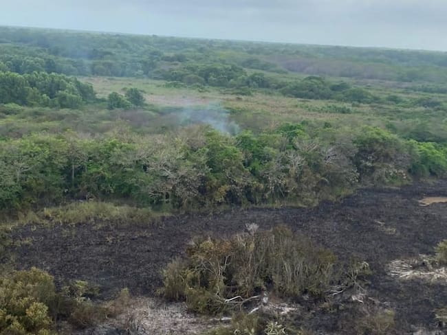 Parque Isla Salamanca estará cerrado preventivamente para evitar incendios forestales