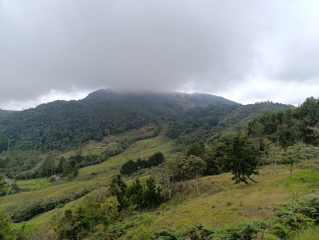 Cornare archiva proyecto minero en el oriente de Antioquia