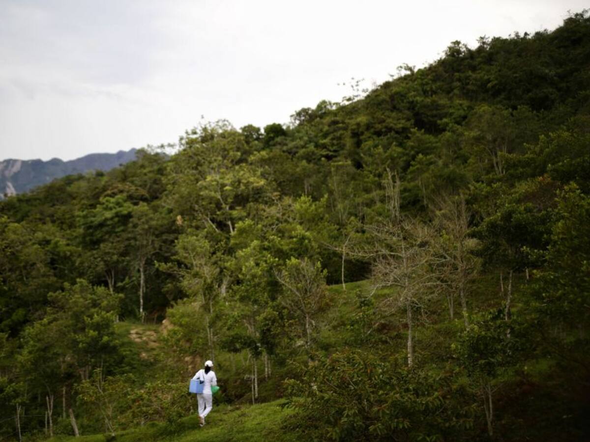 La pandemia en los territorios históricamente afectados por el conflicto