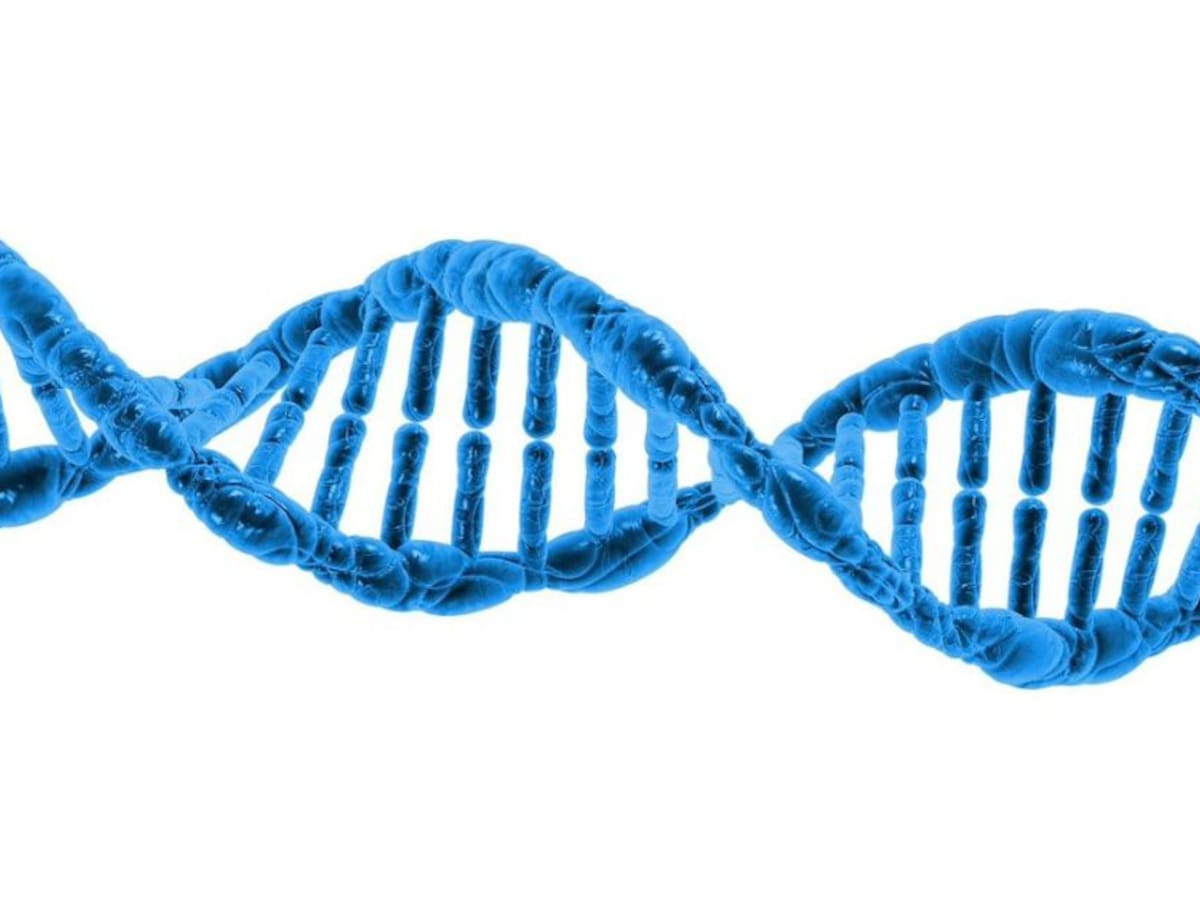 ¿Cuál es la función de la microbiota en el cuerpo?
