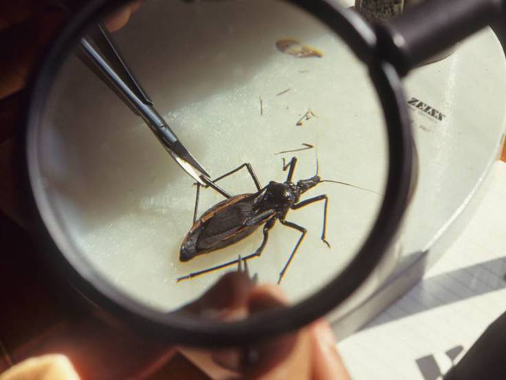 Oficial Getty Images