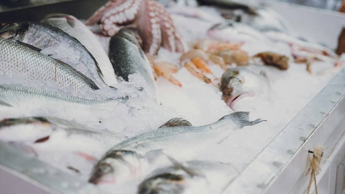 La Gobernación del Atlántico realiza vigilancia especial para comida de mar en Semana Santa