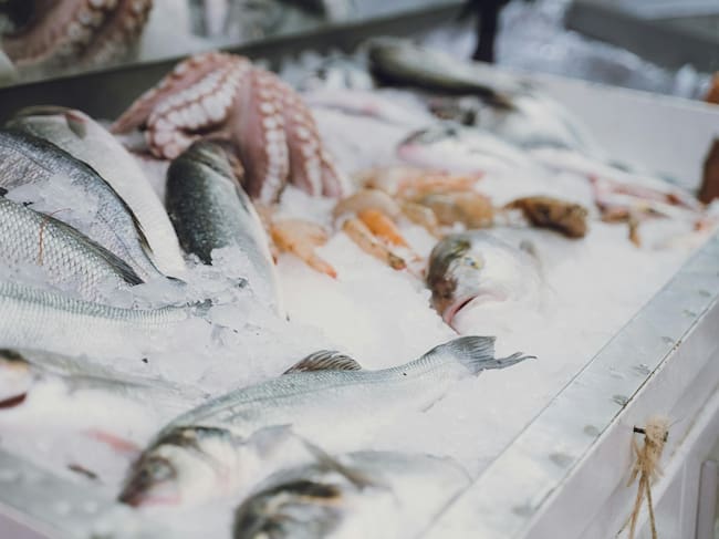 Imagen de referencia. Foto: Gobernación del Atlántico.