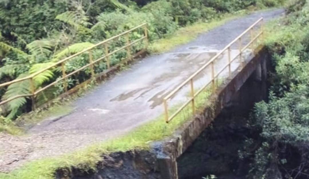 Foto: Alcaldía de Briceño. 