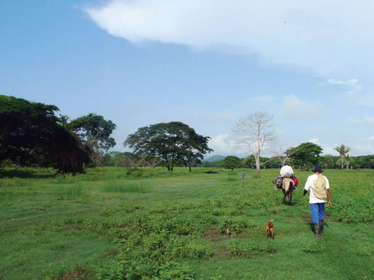 ¿Cuál es la situación de tierras para entregar a campesinos en el Quindío?