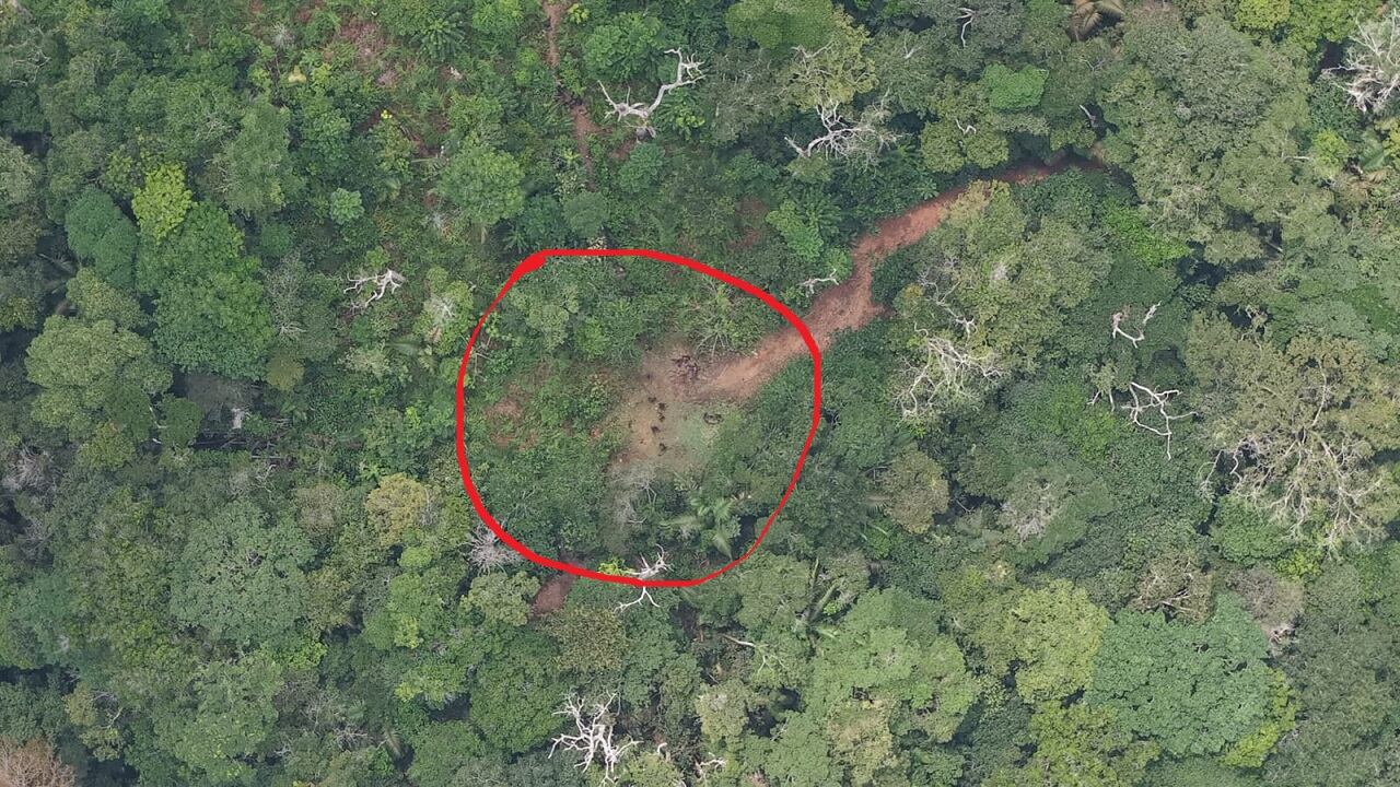 Zona donde presuntamente quedaron varias personas muertas por combates entre ilegales en vereda El Tesoro de Anorí.