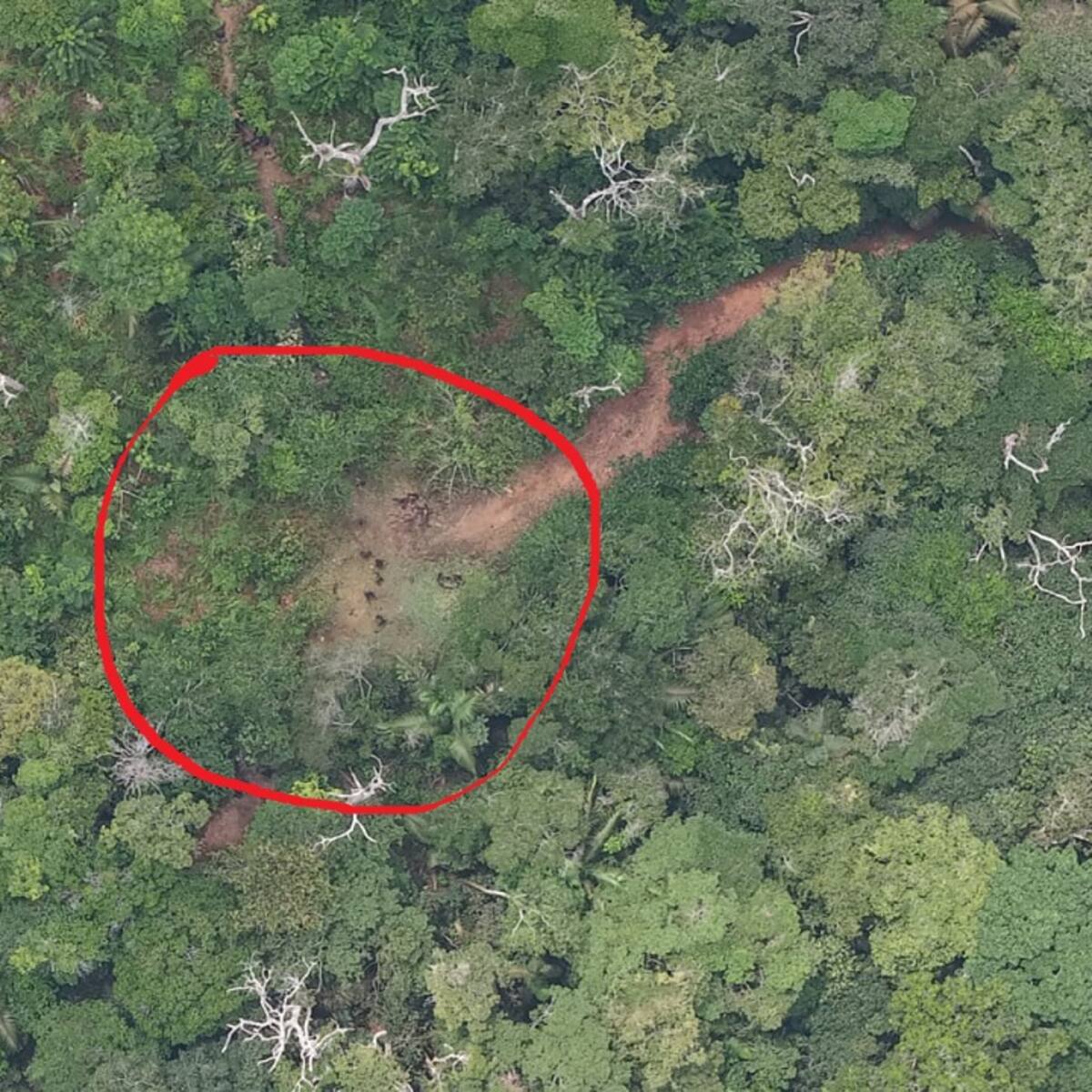 Anorí: nuevos combates entre ilegales habrían dejado varias personas y animales fallecidos