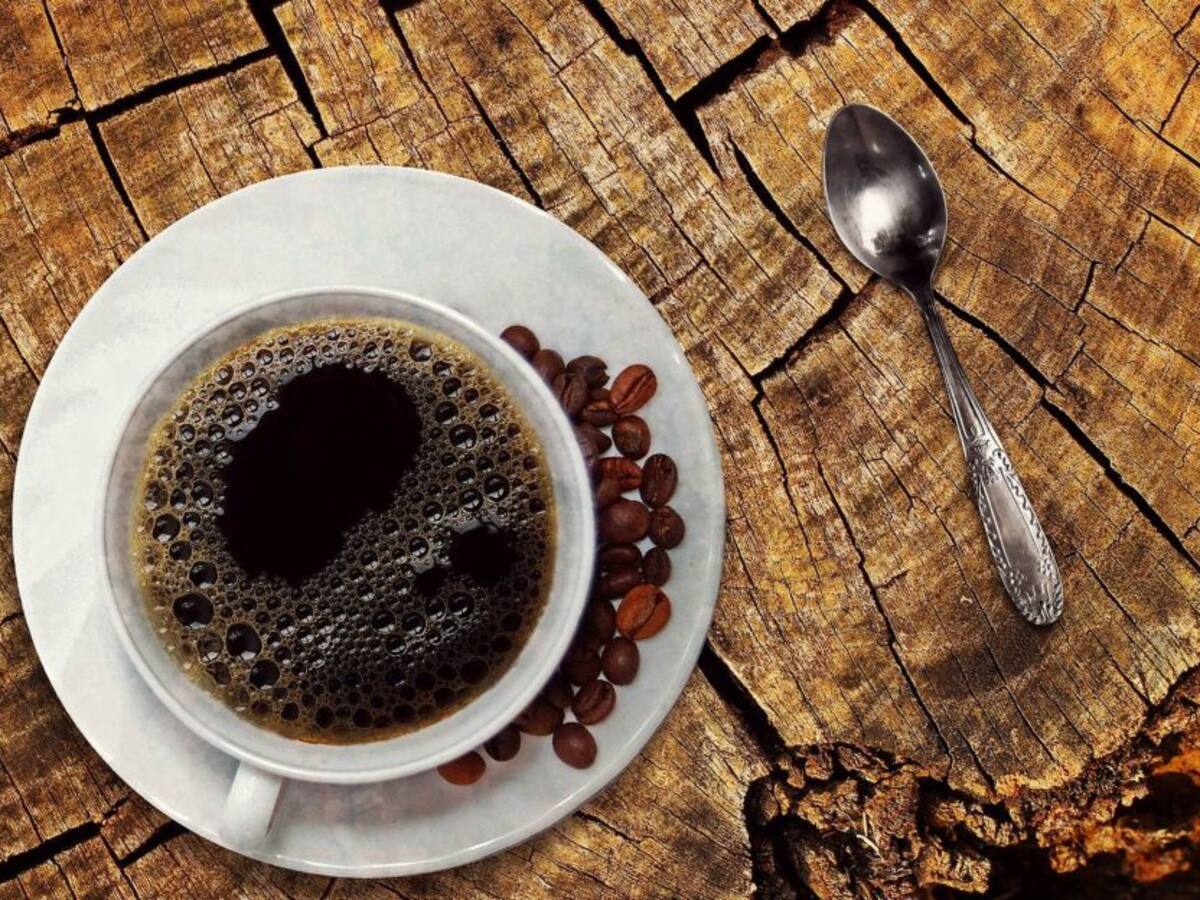 Un Aleman podría representar a Colombia en el Campeonato Nacional de Cafés