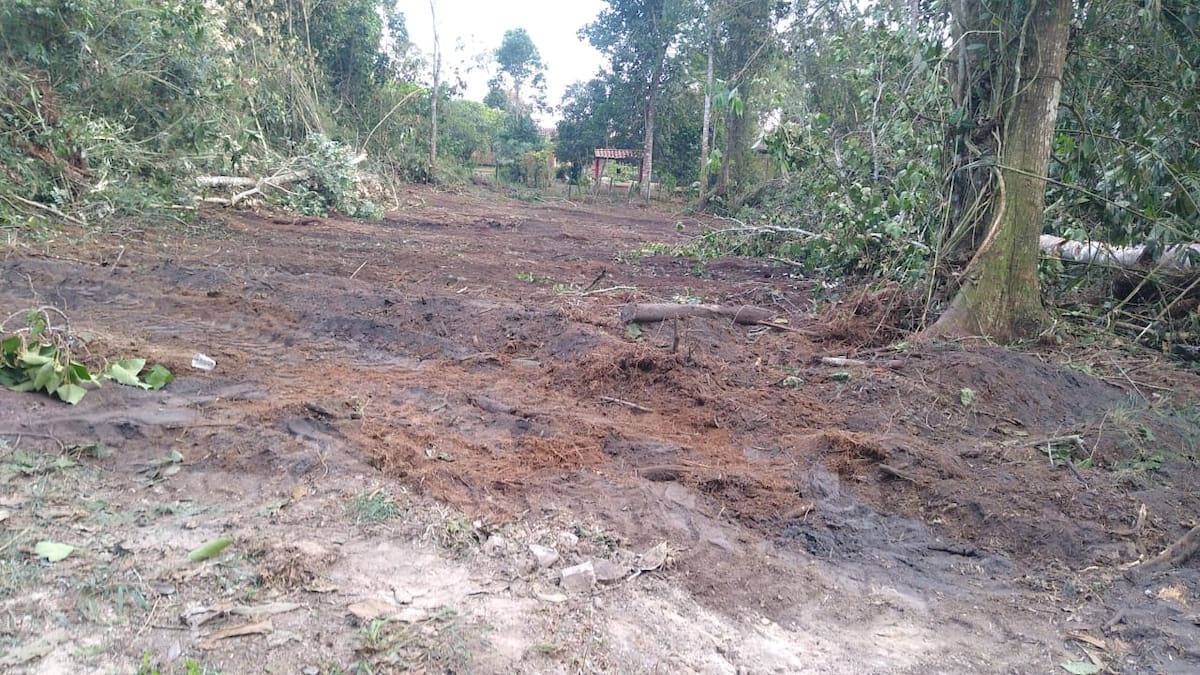 Denuncian arboricidio en un predio con 6 espejos de agua