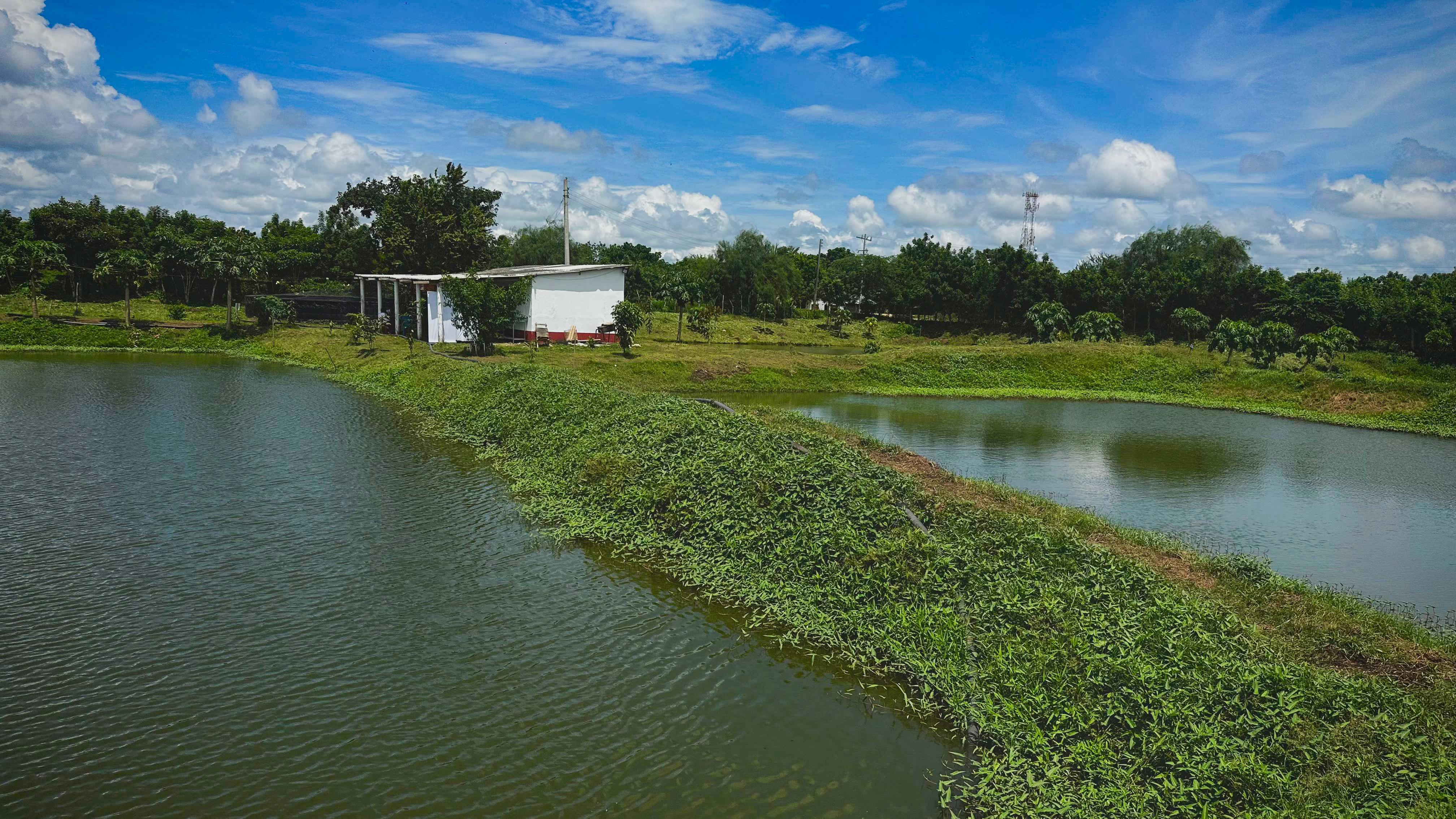 Gobernación de Bolívar