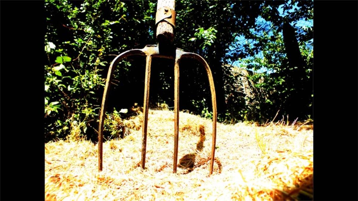 Desde Naguanagua, Venezuela, Marcos José Urquia Aure opina: "Herramientas de un pintor, lo necesario para hacer excelentes obras de arte".