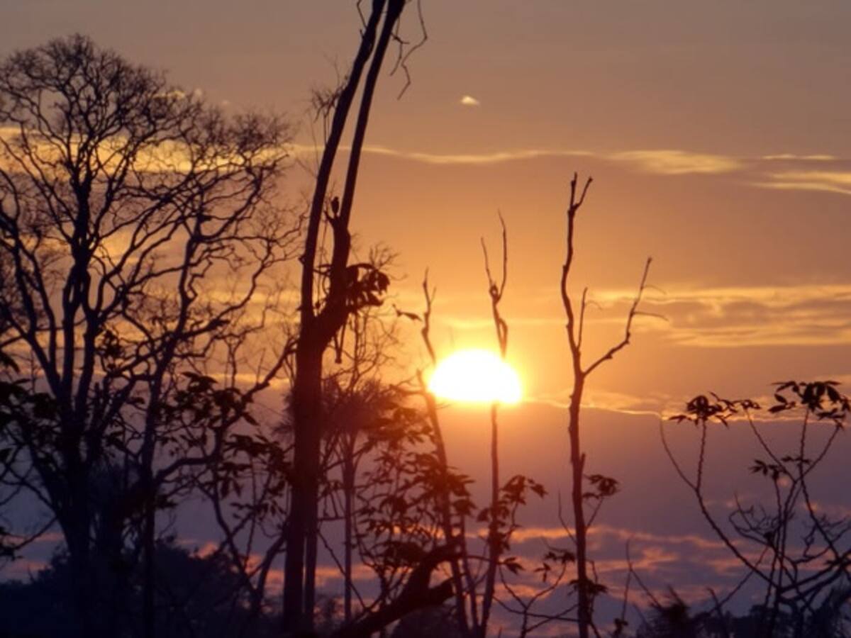 Así es el Parque Nacional Natural Tinigua
