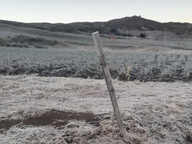 Heladas afectan nuevamente cultivos de papa y cebolla