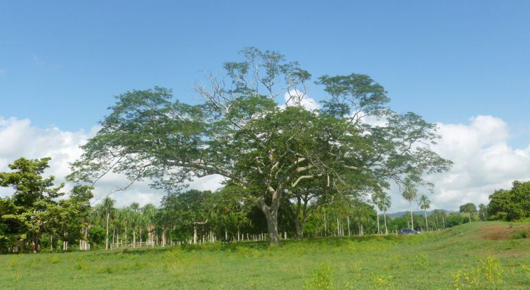 Predios restituidos a víctimas de la violencia en Colombia.