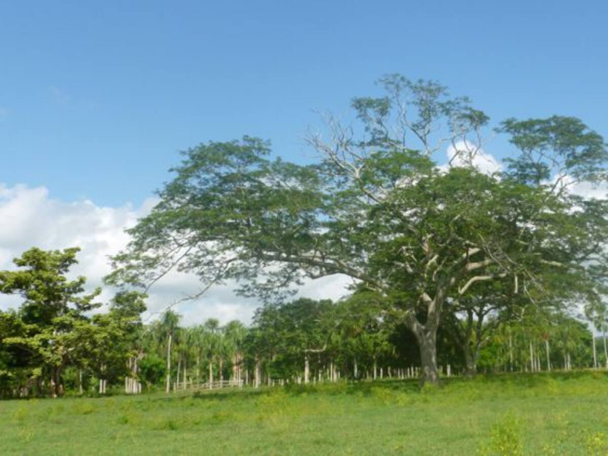 Denuncian amenazas de muerte a reclamantes de tierra en Urabá