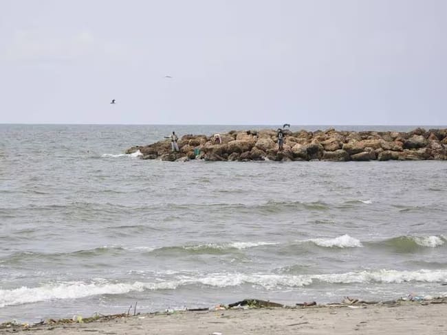 Imagen de referencia / Cortesía (Colprensa)