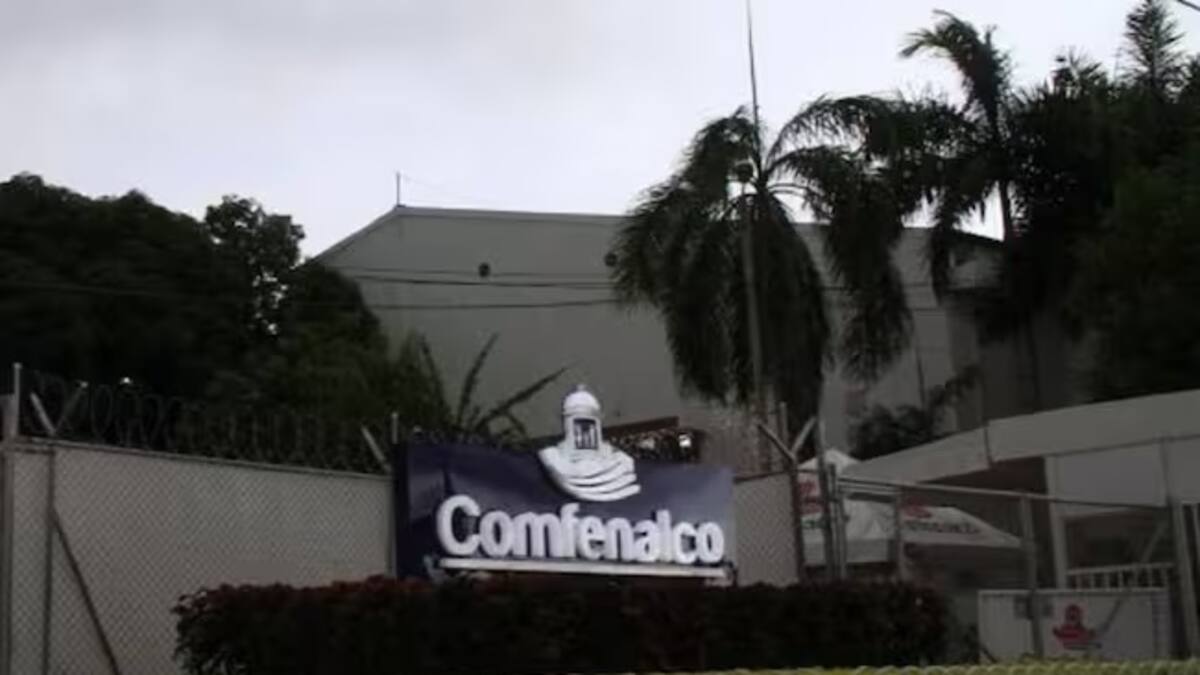Manejo de árboles en proyecto Fénix es adecuado y vigilado por el EPA: Comfenalco