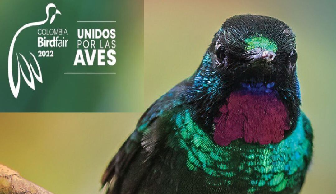La feria proomueve el interés por la observación y la conservación de las aves 