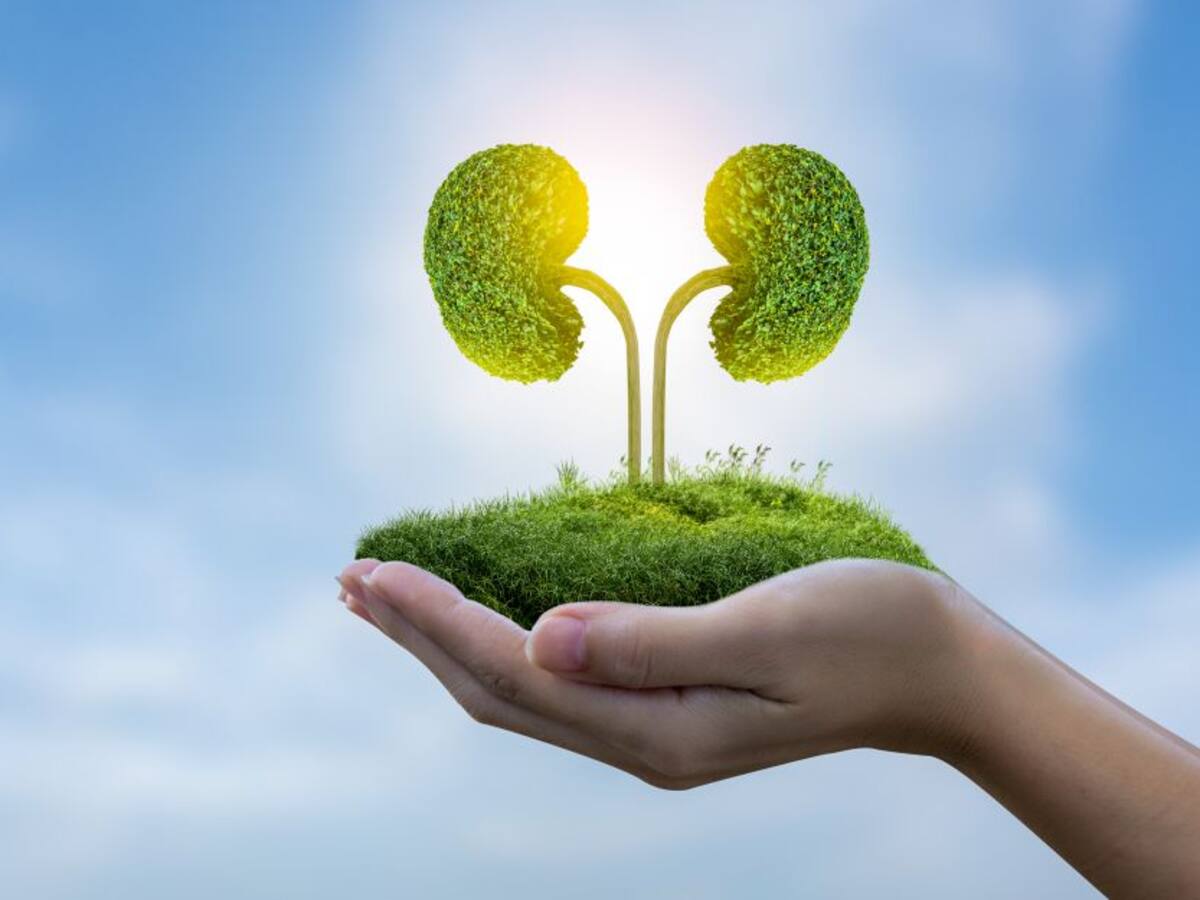 Día mundial del Riñón: esto es lo que debe saber