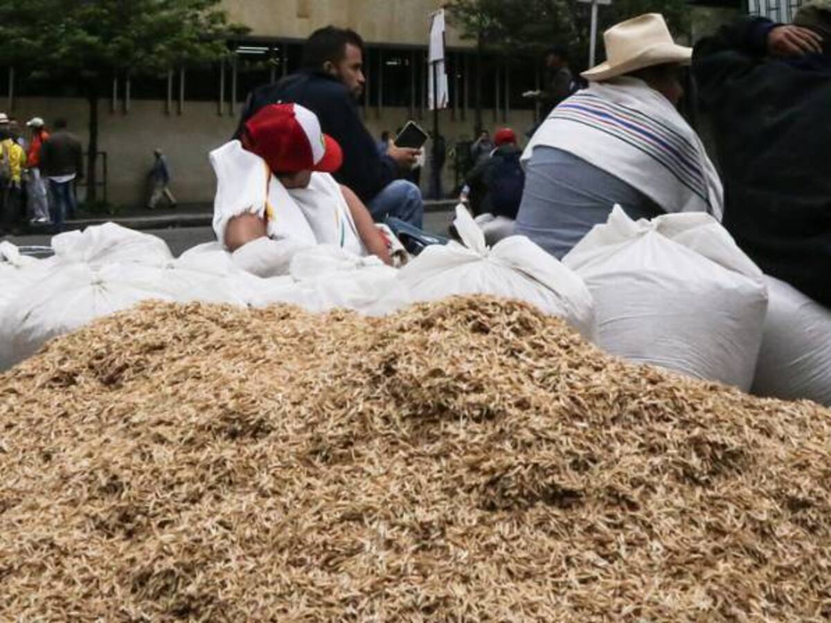 Precios de los insumos ‘azotan’ a los arroceros del Huila