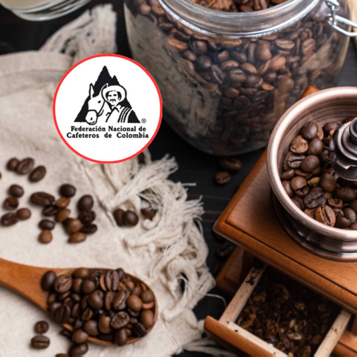 ¿A cómo está la carga en dólares? Precio oficial del café hoy, 30 de agosto, en Colombia por la FNC