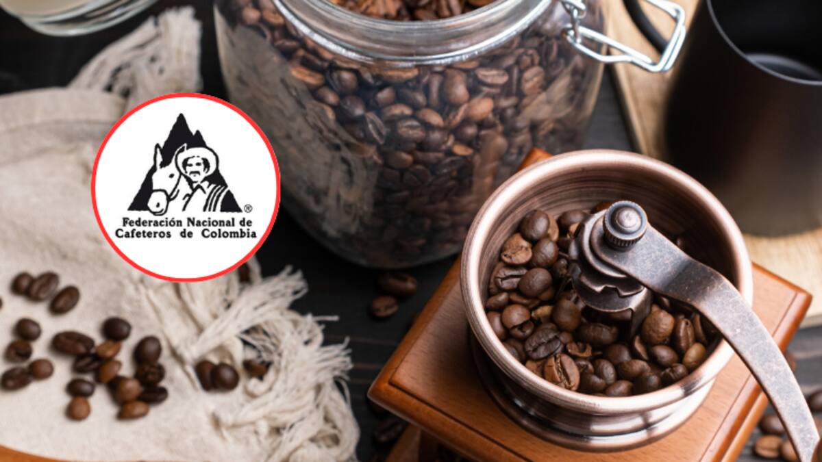 ¿A cómo está la carga en dólares? Precio oficial del café hoy, 30 de agosto, en Colombia por la FNC