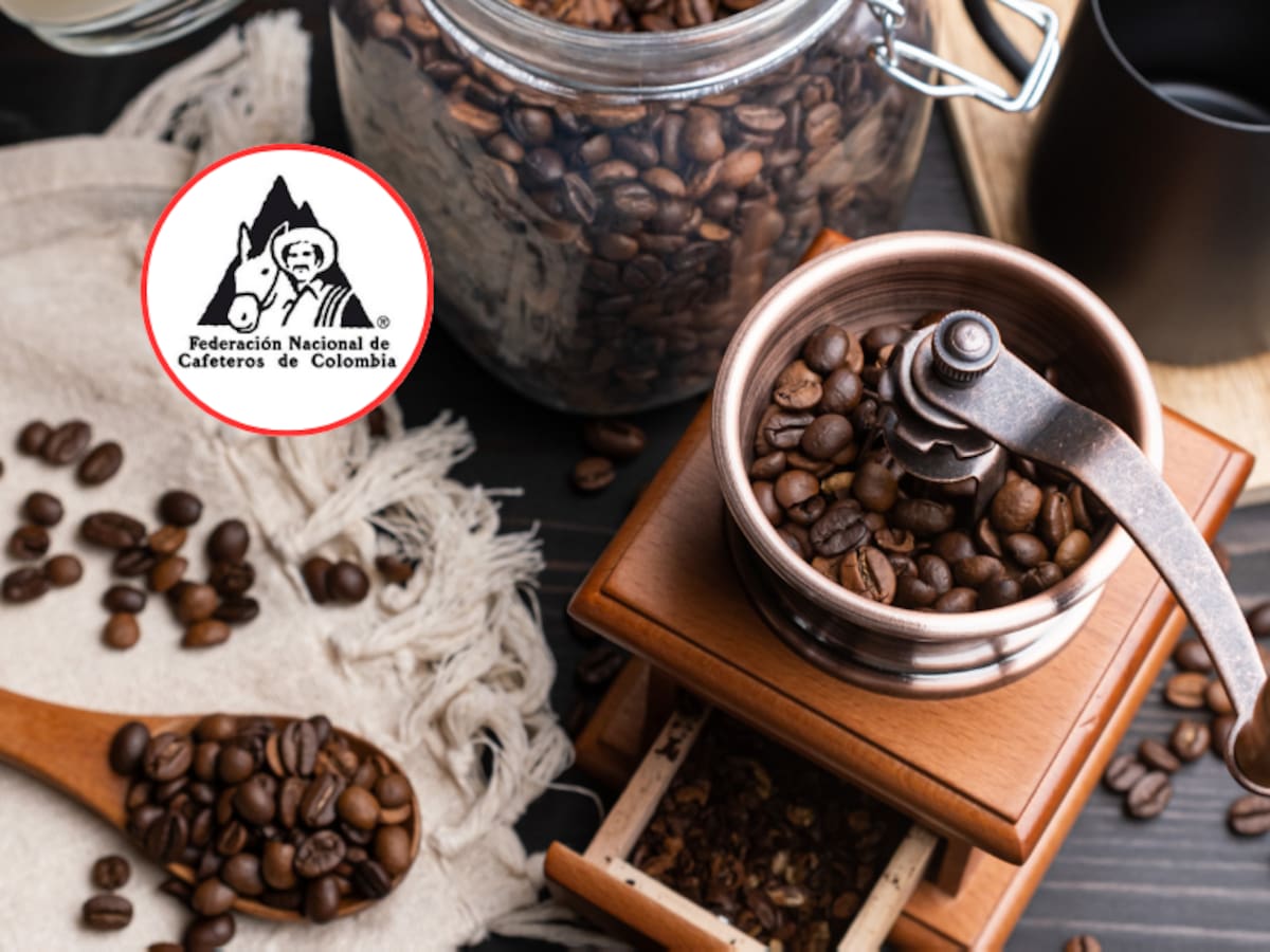 ¿Dejó de bajar? Precio del café seco en Colombia hoy 7 de agosto, según FNC